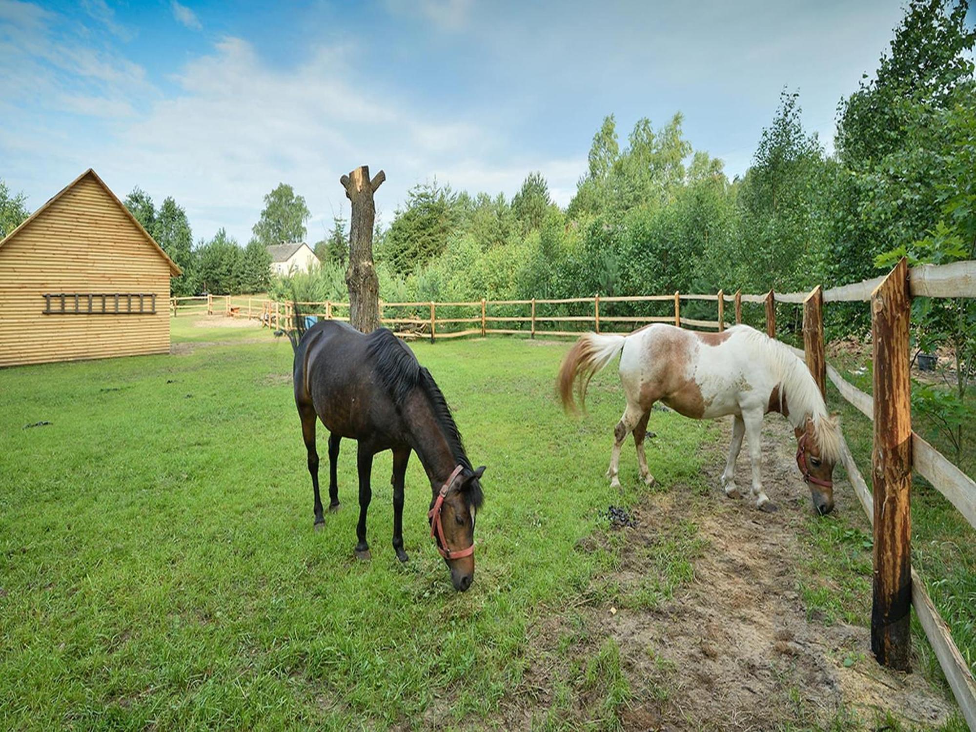 Wooden Holiday Home In Skrzynia With Terrace Осек Екстер'єр фото