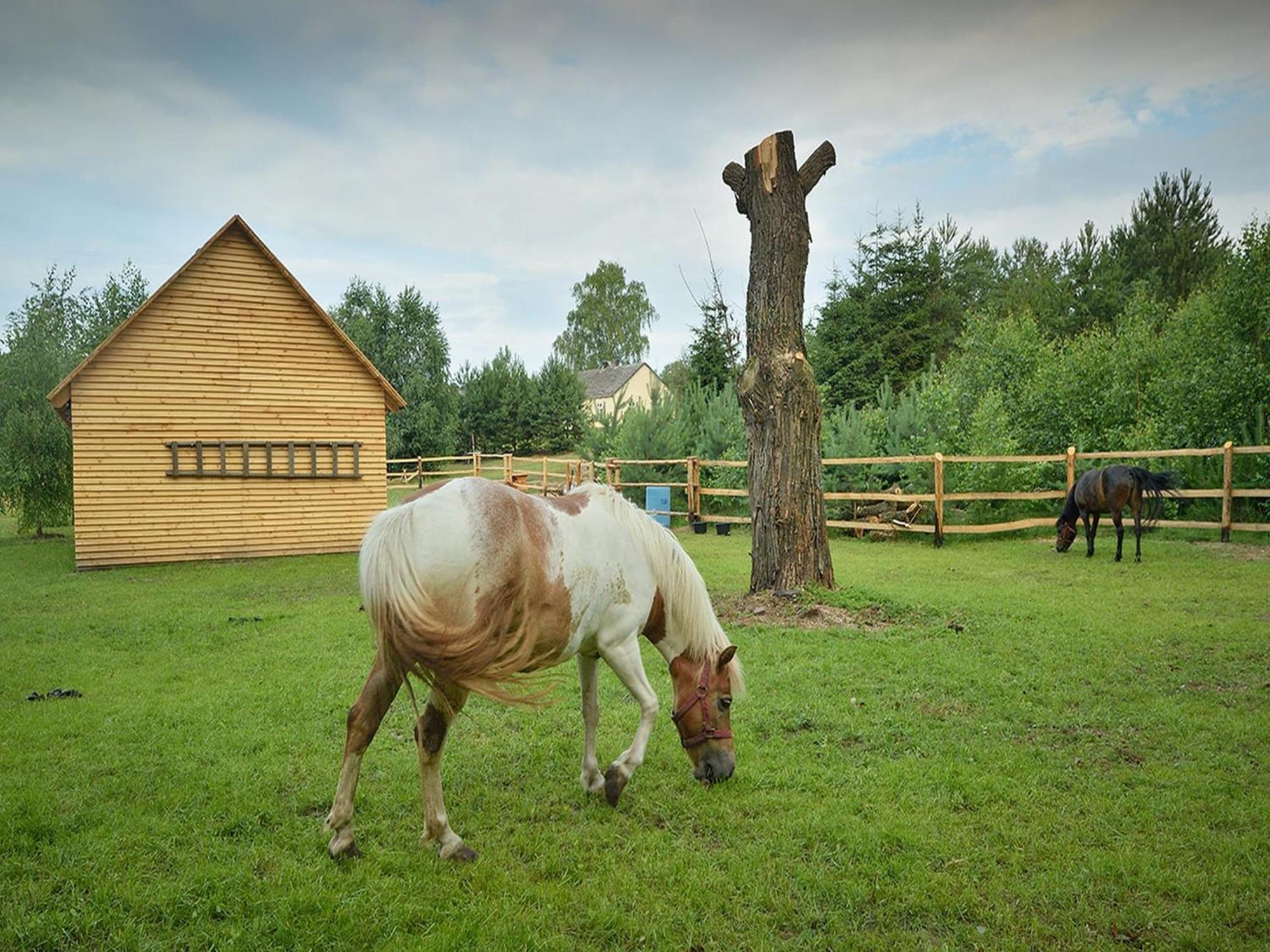 Wooden Holiday Home In Skrzynia With Terrace Осек Екстер'єр фото